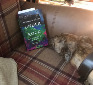 Ginny the lurcher keen to read...